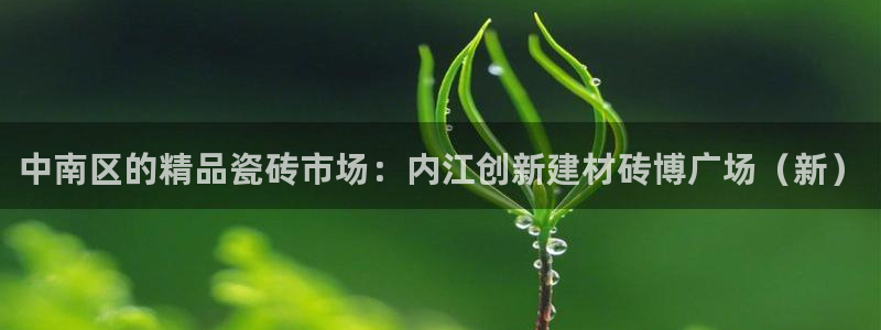 杏鑫平台怎么样知乎