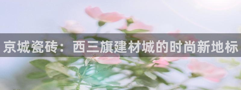 杏鑫平台登录注册