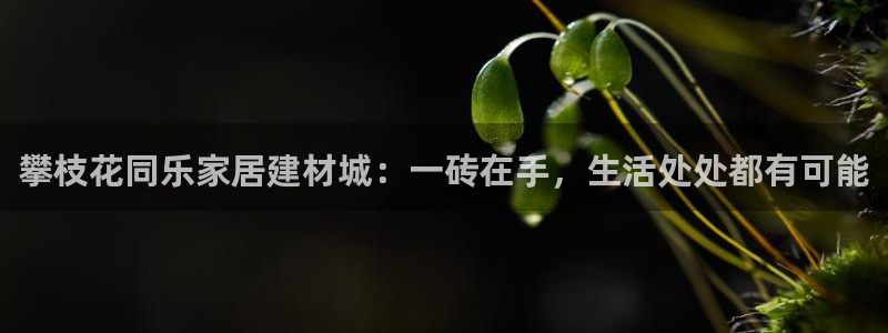 杏鑫平台是黑平台吗知乎